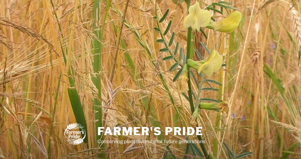 Farmer’s Pride project Network Proposal published Euroseeds