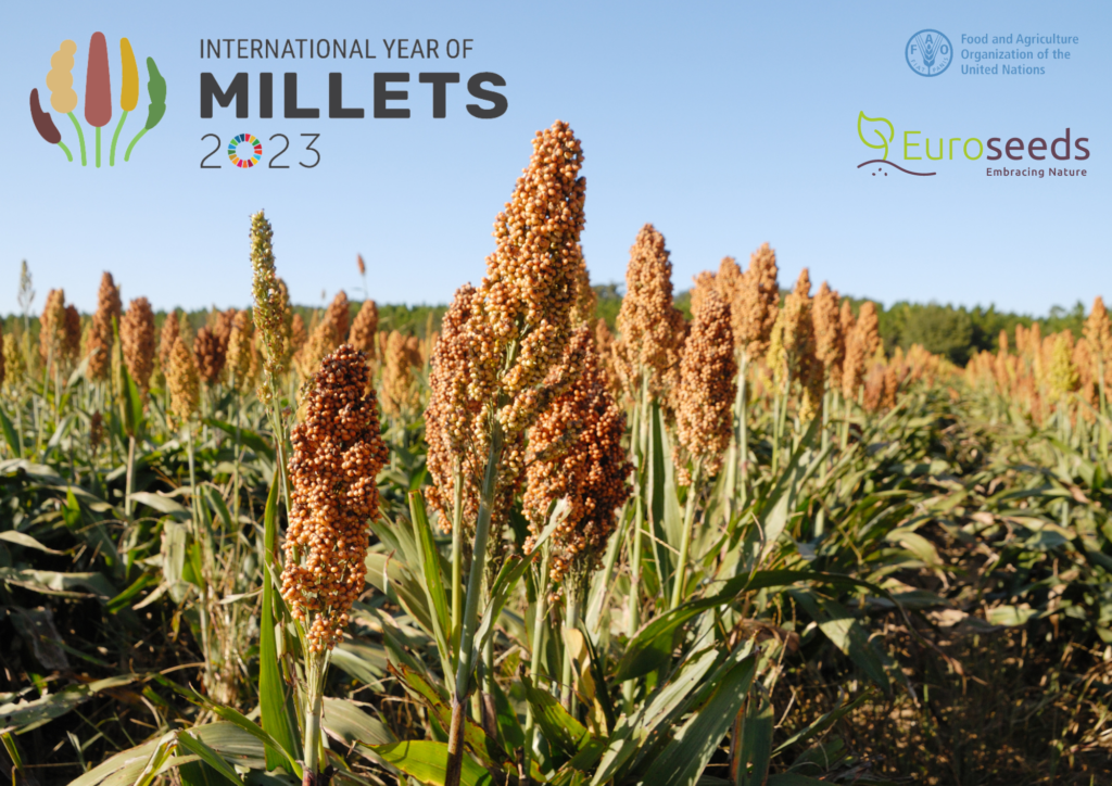 Let's the International Year of Millets! Euroseeds