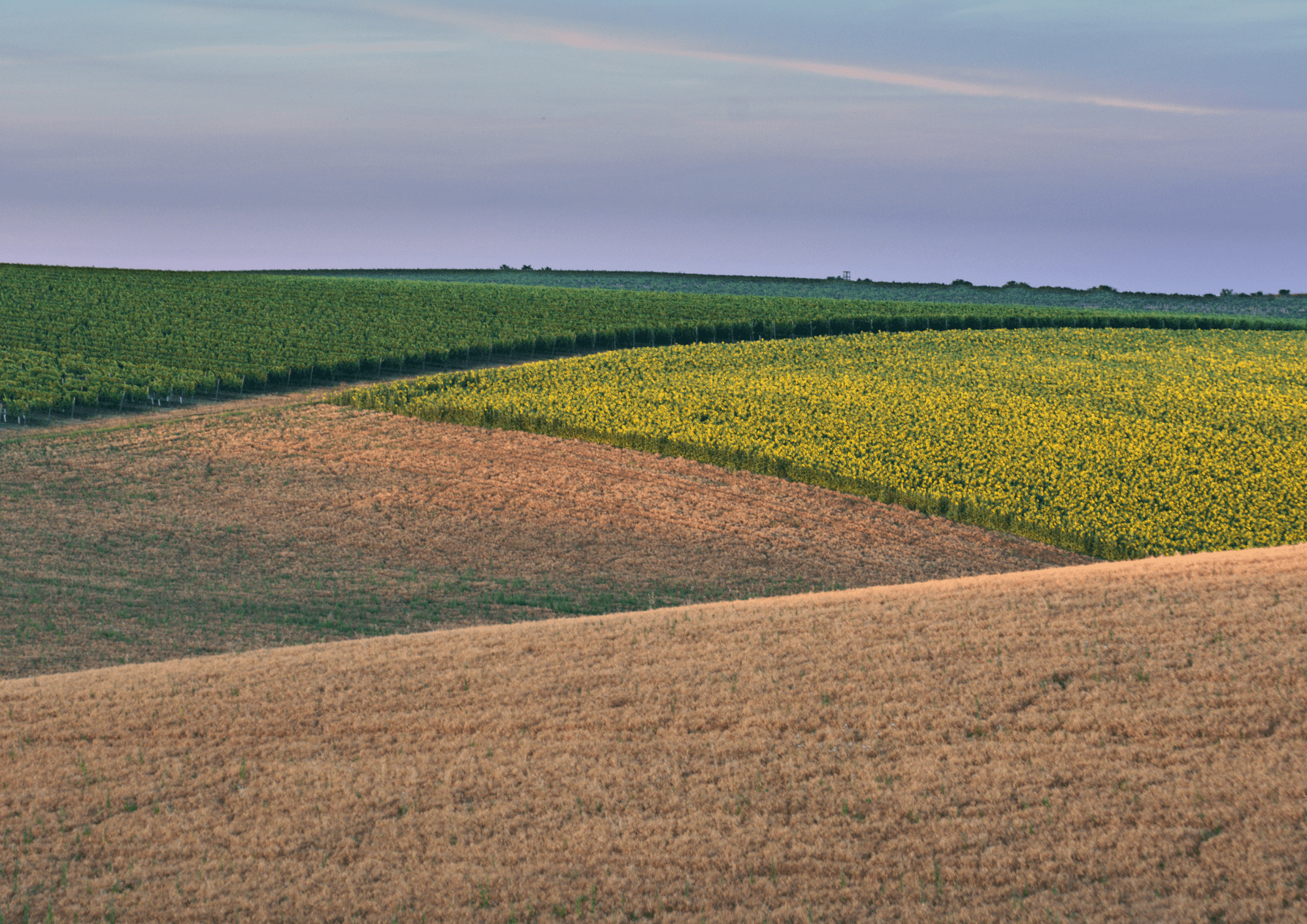 EU organisations from the food and feed sectors ask for a proportionate