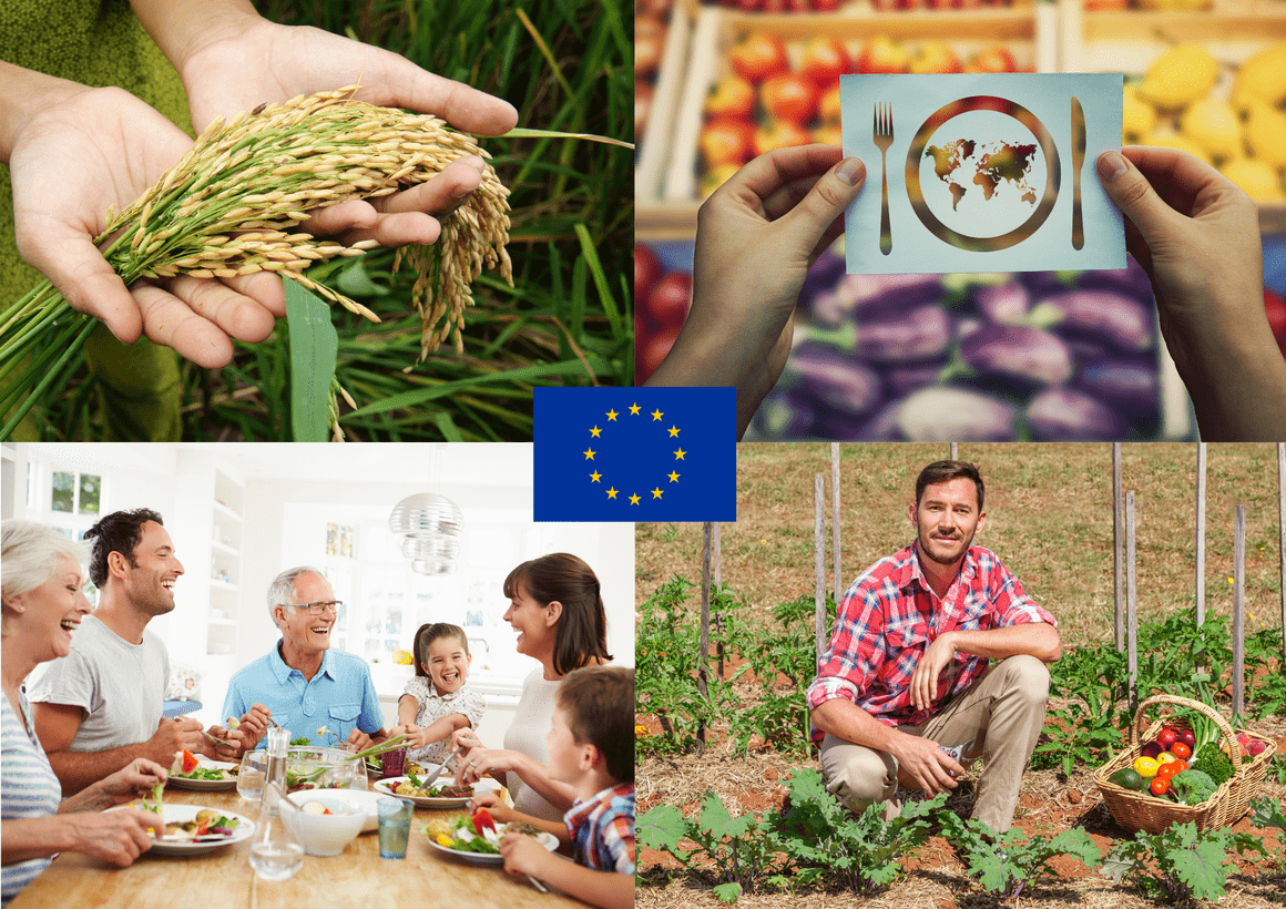 The Crucial Role Of The EU In Safeguarding Plant Breeding And Seed ...